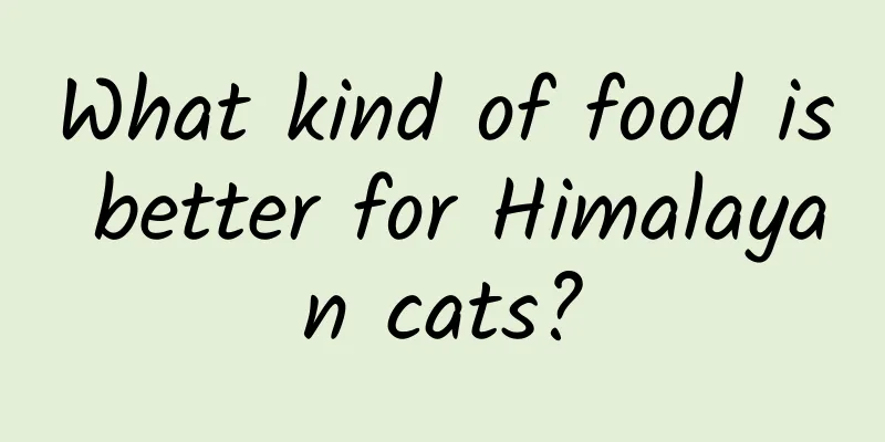 What kind of food is better for Himalayan cats?