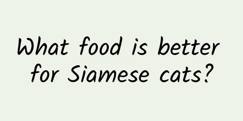What food is better for Siamese cats?