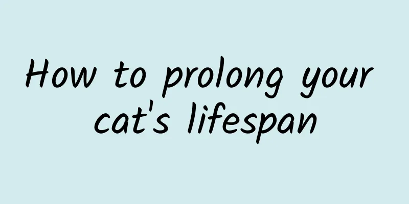 How to prolong your cat's lifespan