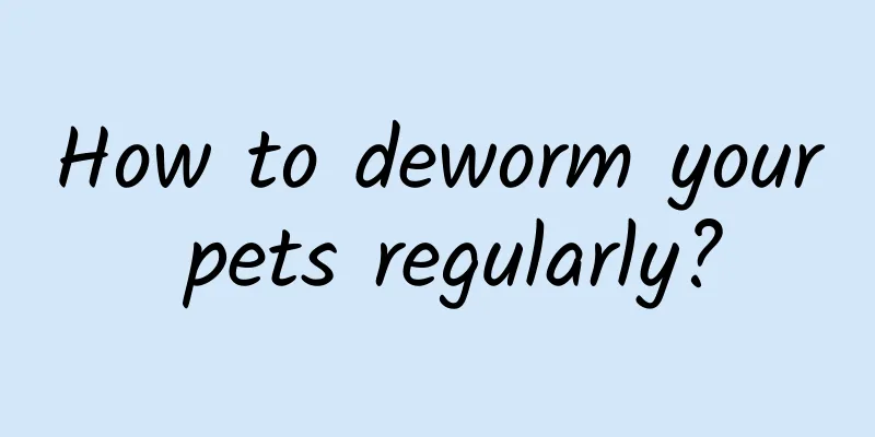 How to deworm your pets regularly?