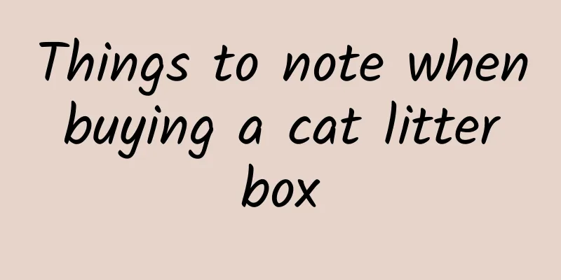 Things to note when buying a cat litter box
