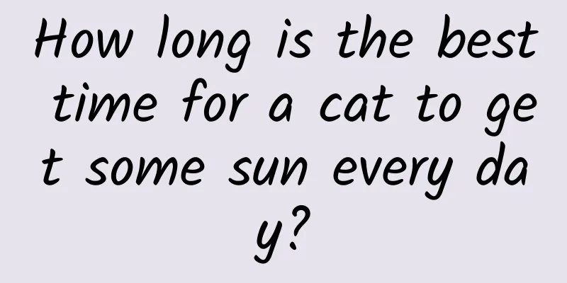 How long is the best time for a cat to get some sun every day?