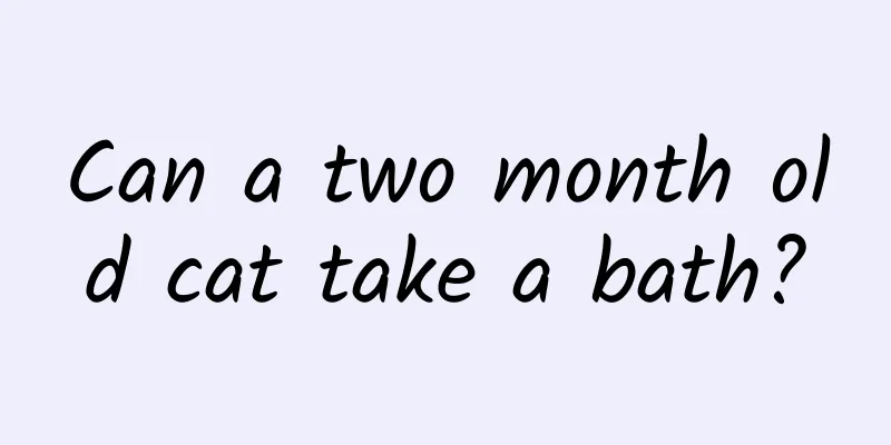 Can a two month old cat take a bath?