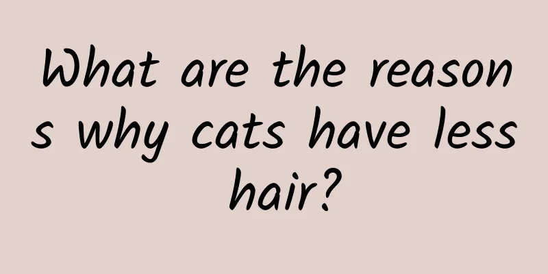 What are the reasons why cats have less hair?
