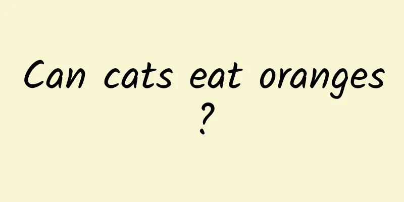 Can cats eat oranges?