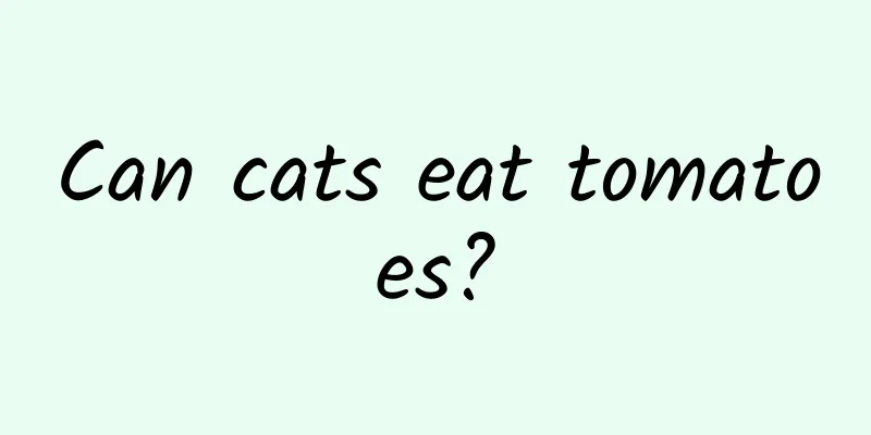 Can cats eat tomatoes?