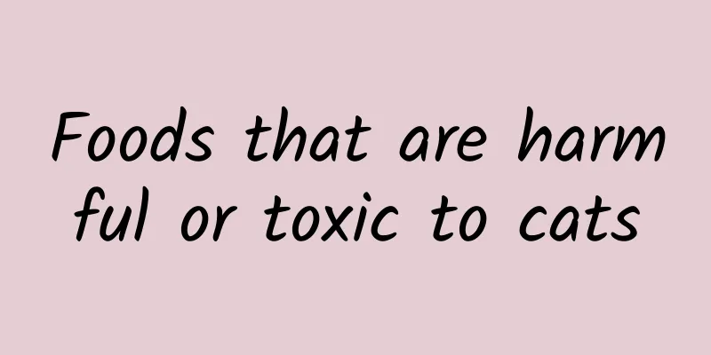 Foods that are harmful or toxic to cats