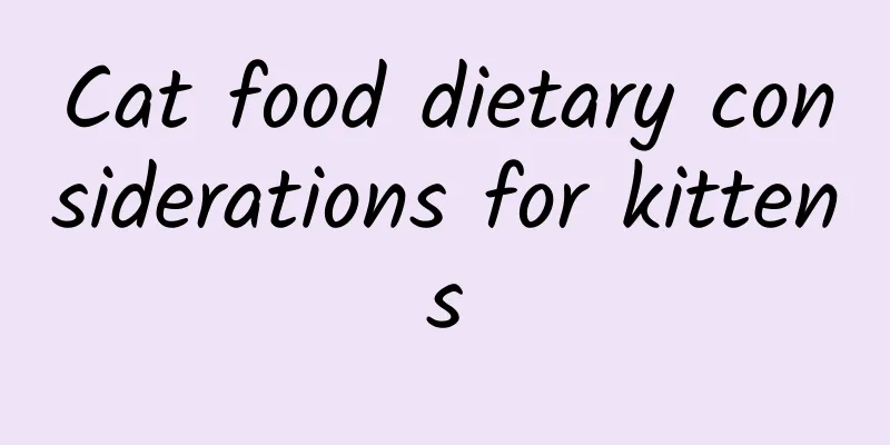 Cat food dietary considerations for kittens