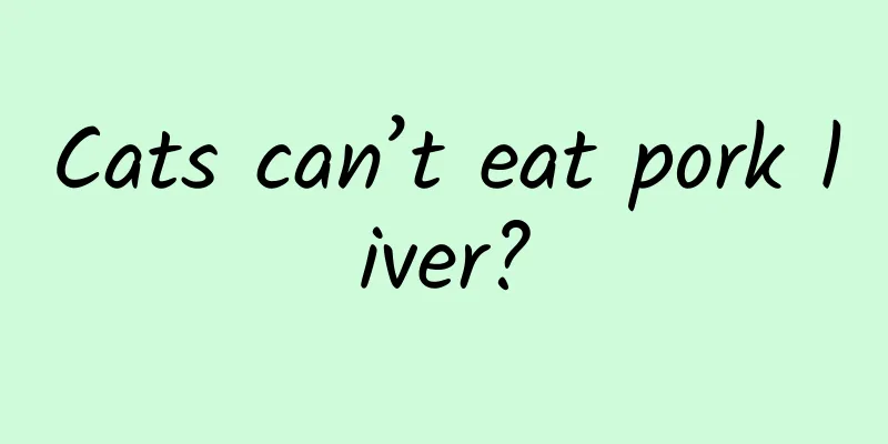 Cats can’t eat pork liver?