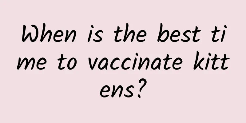 When is the best time to vaccinate kittens?
