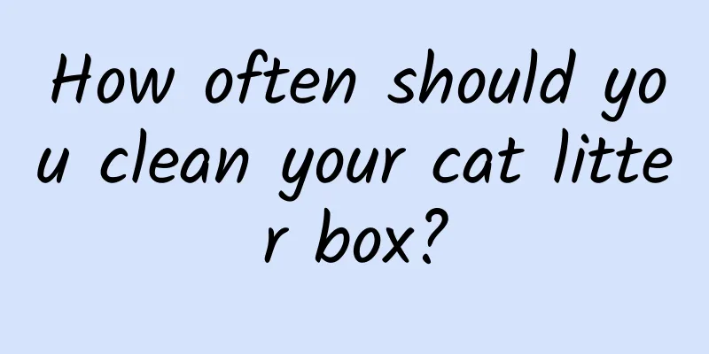How often should you clean your cat litter box?