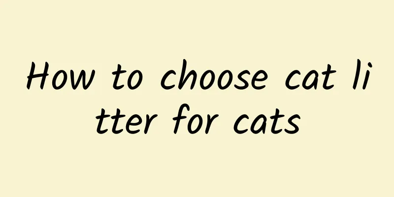 How to choose cat litter for cats