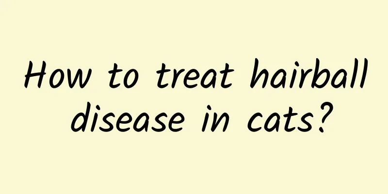 How to treat hairball disease in cats?