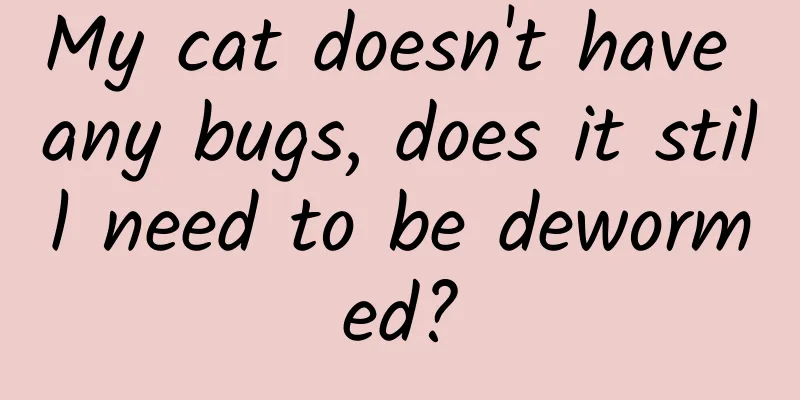 My cat doesn't have any bugs, does it still need to be dewormed?