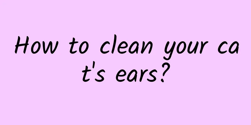 How to clean your cat's ears?