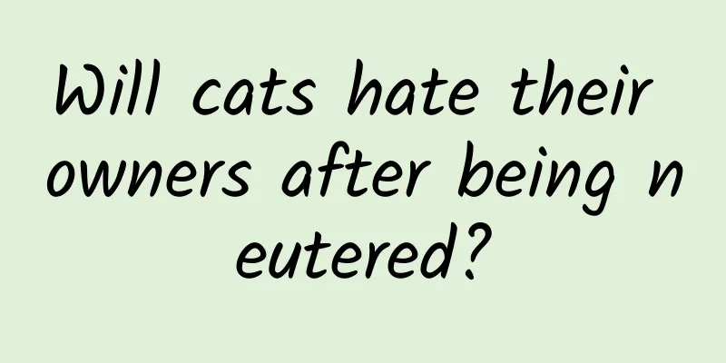 Will cats hate their owners after being neutered?