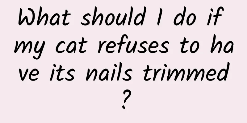 What should I do if my cat refuses to have its nails trimmed?