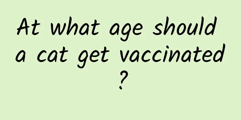 At what age should a cat get vaccinated?