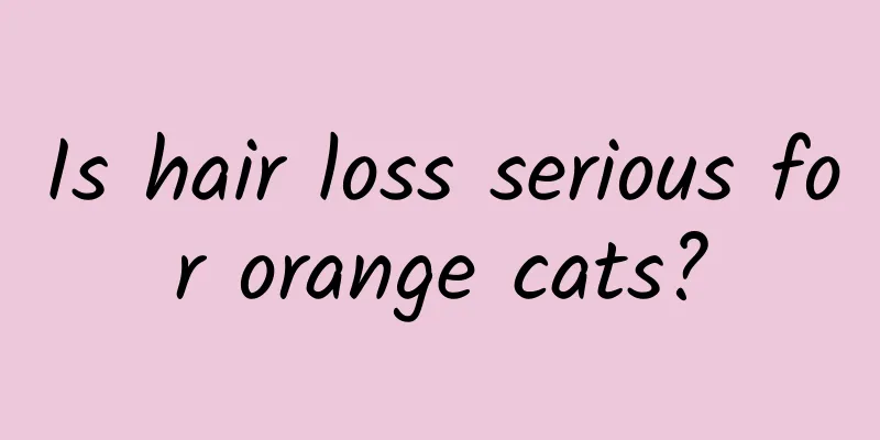 Is hair loss serious for orange cats?