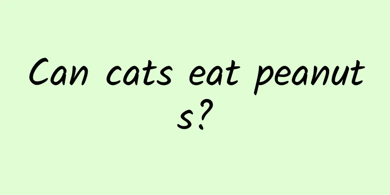 Can cats eat peanuts?