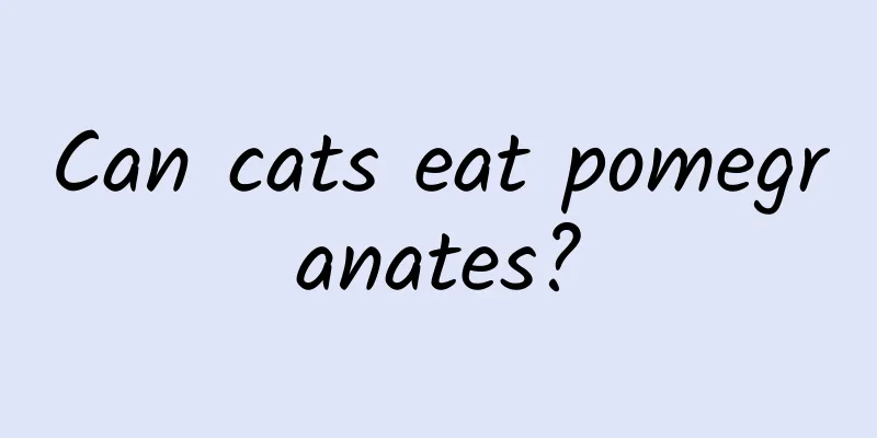 Can cats eat pomegranates?