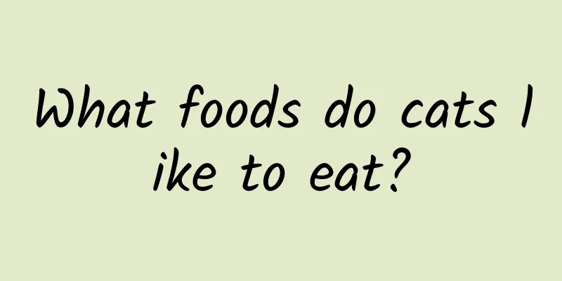 What foods do cats like to eat?