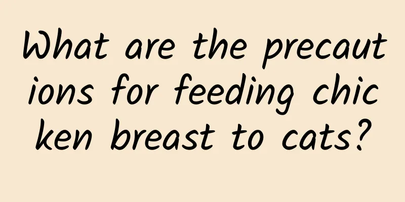 What are the precautions for feeding chicken breast to cats?