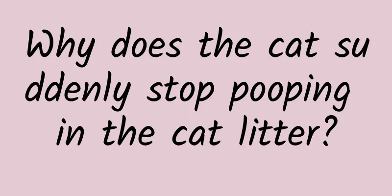 Why does the cat suddenly stop pooping in the cat litter?