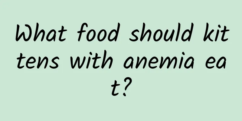 What food should kittens with anemia eat?