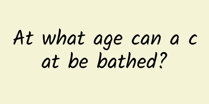 At what age can a cat be bathed?