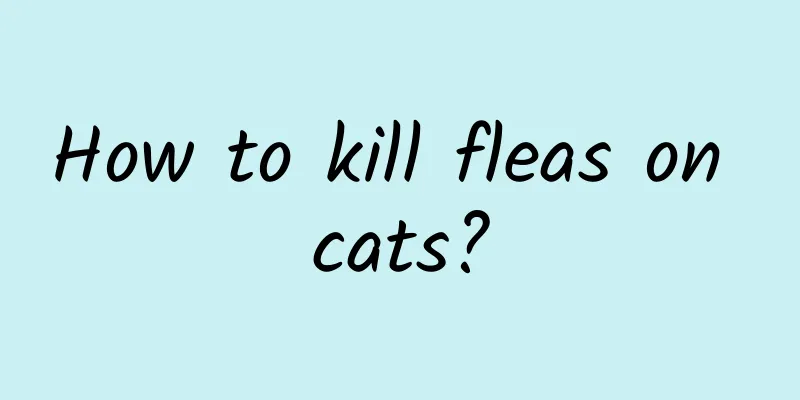 How to kill fleas on cats?