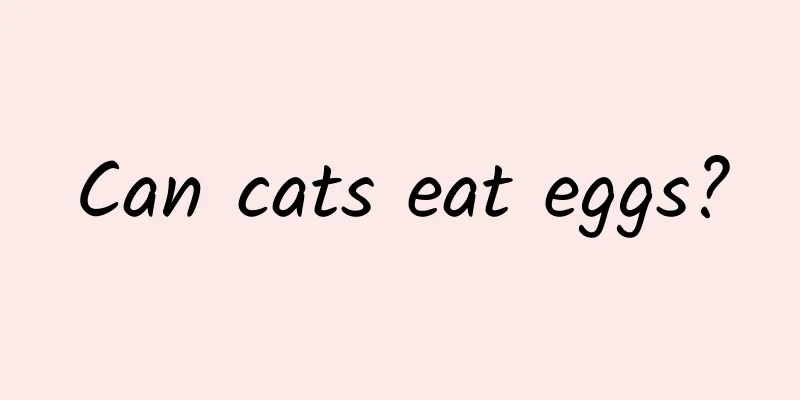 Can cats eat eggs?