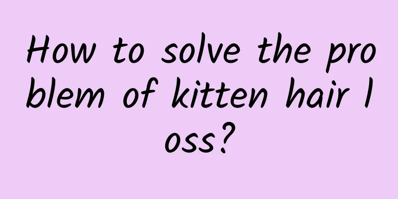 How to solve the problem of kitten hair loss?