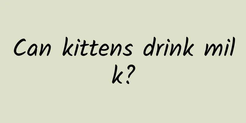 Can kittens drink milk?
