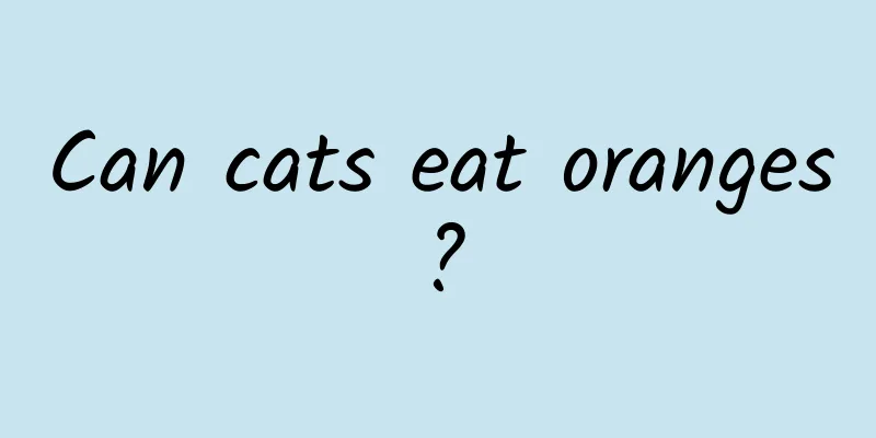 Can cats eat oranges?