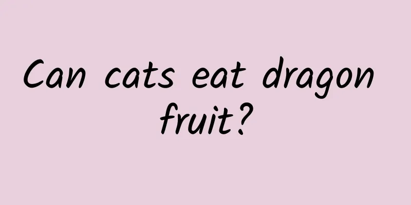 Can cats eat dragon fruit?