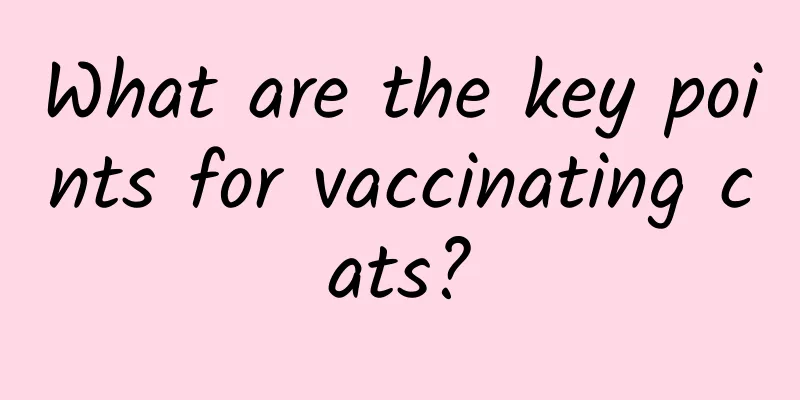 What are the key points for vaccinating cats?