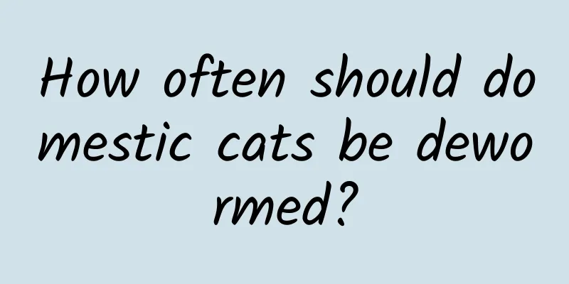 How often should domestic cats be dewormed?