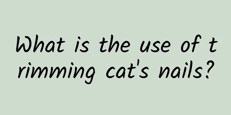 What is the use of trimming cat's nails?