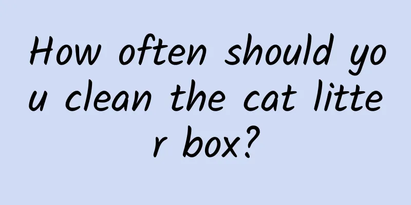 How often should you clean the cat litter box?