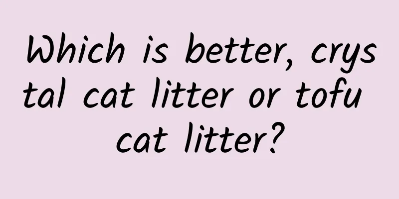 Which is better, crystal cat litter or tofu cat litter?