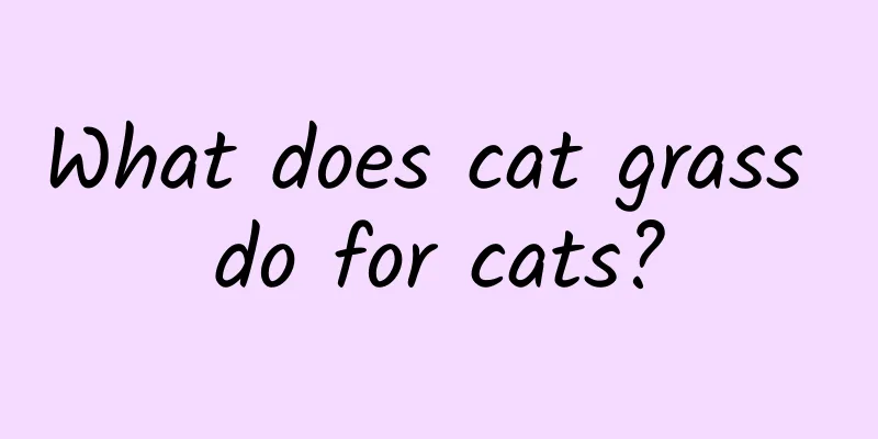 What does cat grass do for cats?