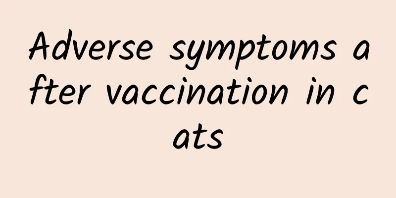 Adverse symptoms after vaccination in cats