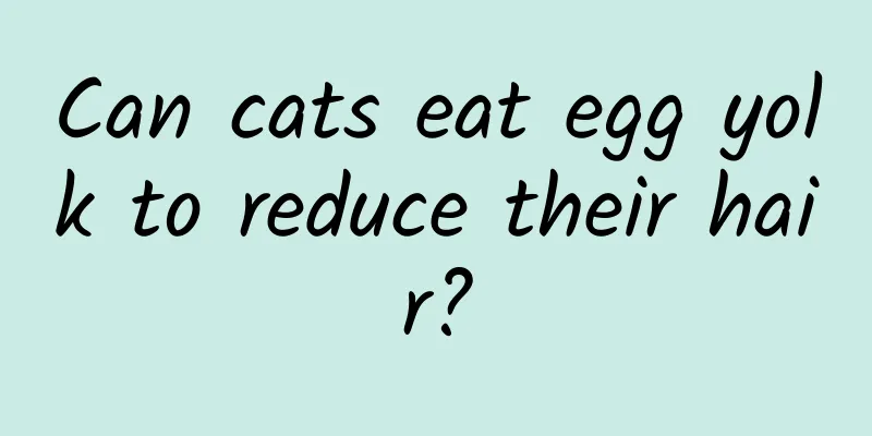 Can cats eat egg yolk to reduce their hair?