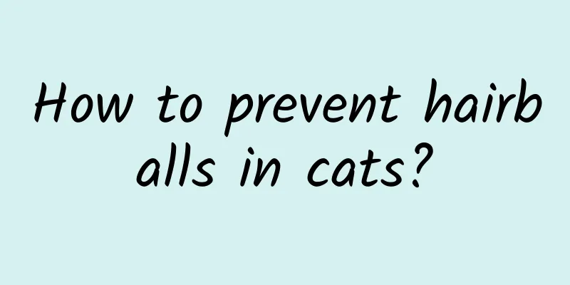 How to prevent hairballs in cats?