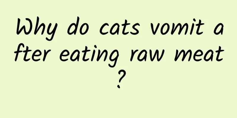 Why do cats vomit after eating raw meat?