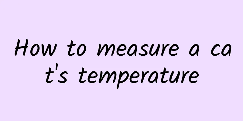 How to measure a cat's temperature