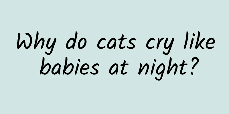 Why do cats cry like babies at night?
