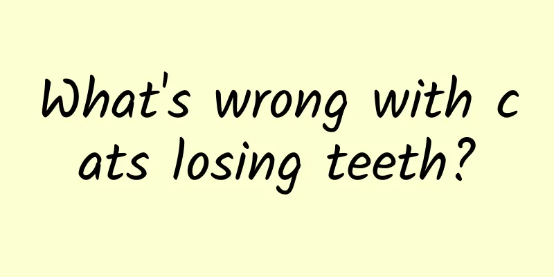 What's wrong with cats losing teeth?