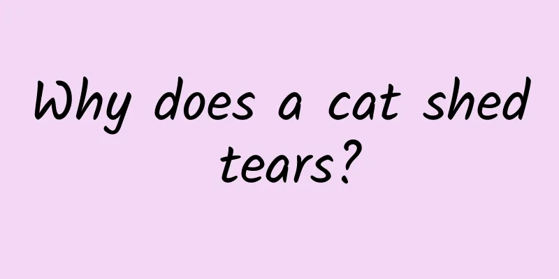 Why does a cat shed tears?
